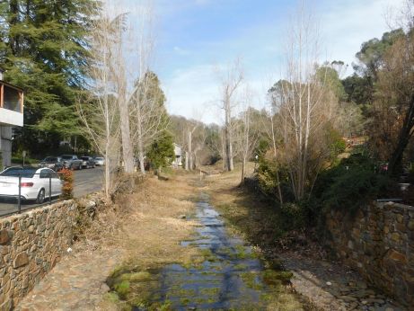 [Picture of Amador Creek]